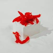 Load image into Gallery viewer, Shredded Mango